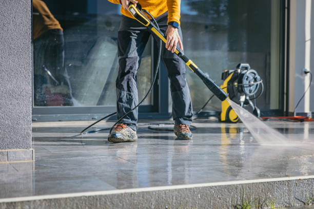 Best Graffiti Removal  in Ives Estates, FL