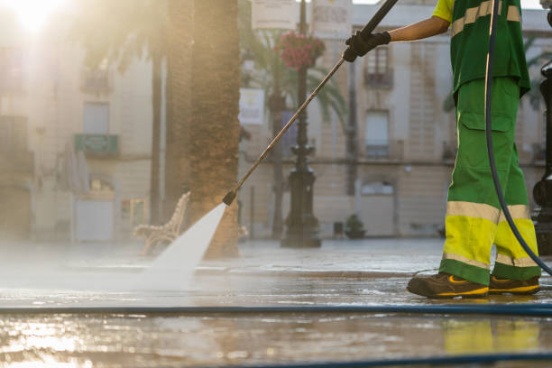 Best Sidewalk and Walkway Cleaning  in Ives Estates, FL